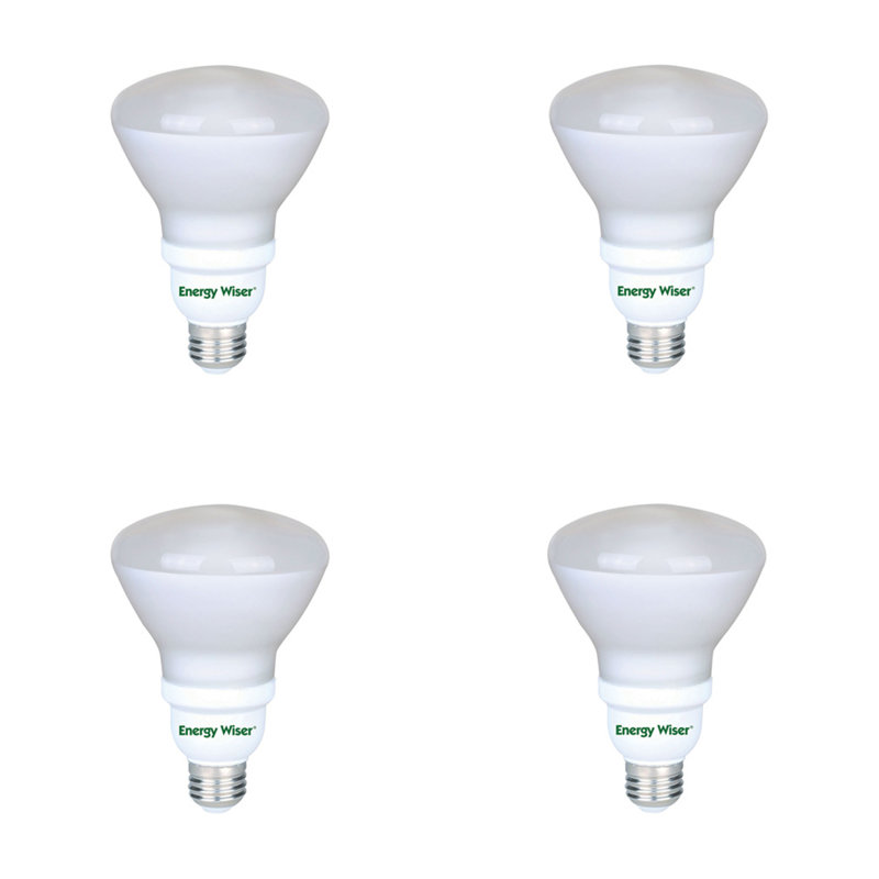 Bulbrite Industries 15 Watt, R30 Compact Fluorescent (CFL) Light Bulb